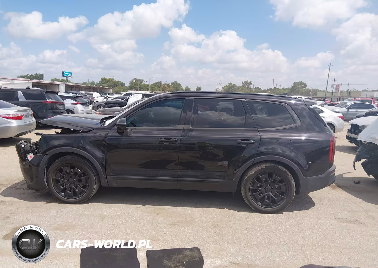 2021 Kia Telluride Sx VIN:5XYP5DHC1MG193636 - 14