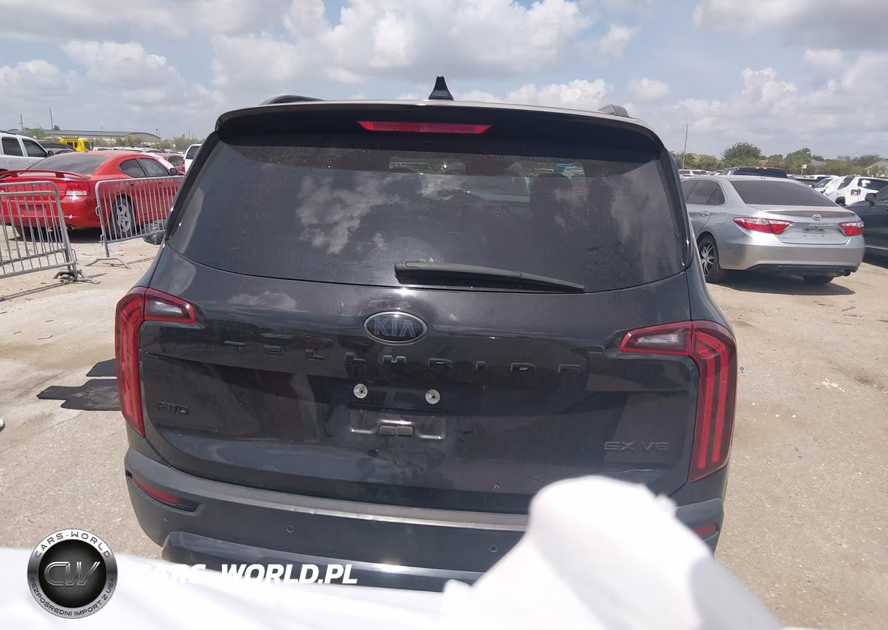 2021 Kia Telluride Sx VIN:5XYP5DHC1MG193636 - 16