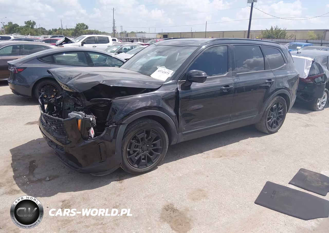 2021 Kia Telluride Sx VIN:5XYP5DHC1MG193636 - 2