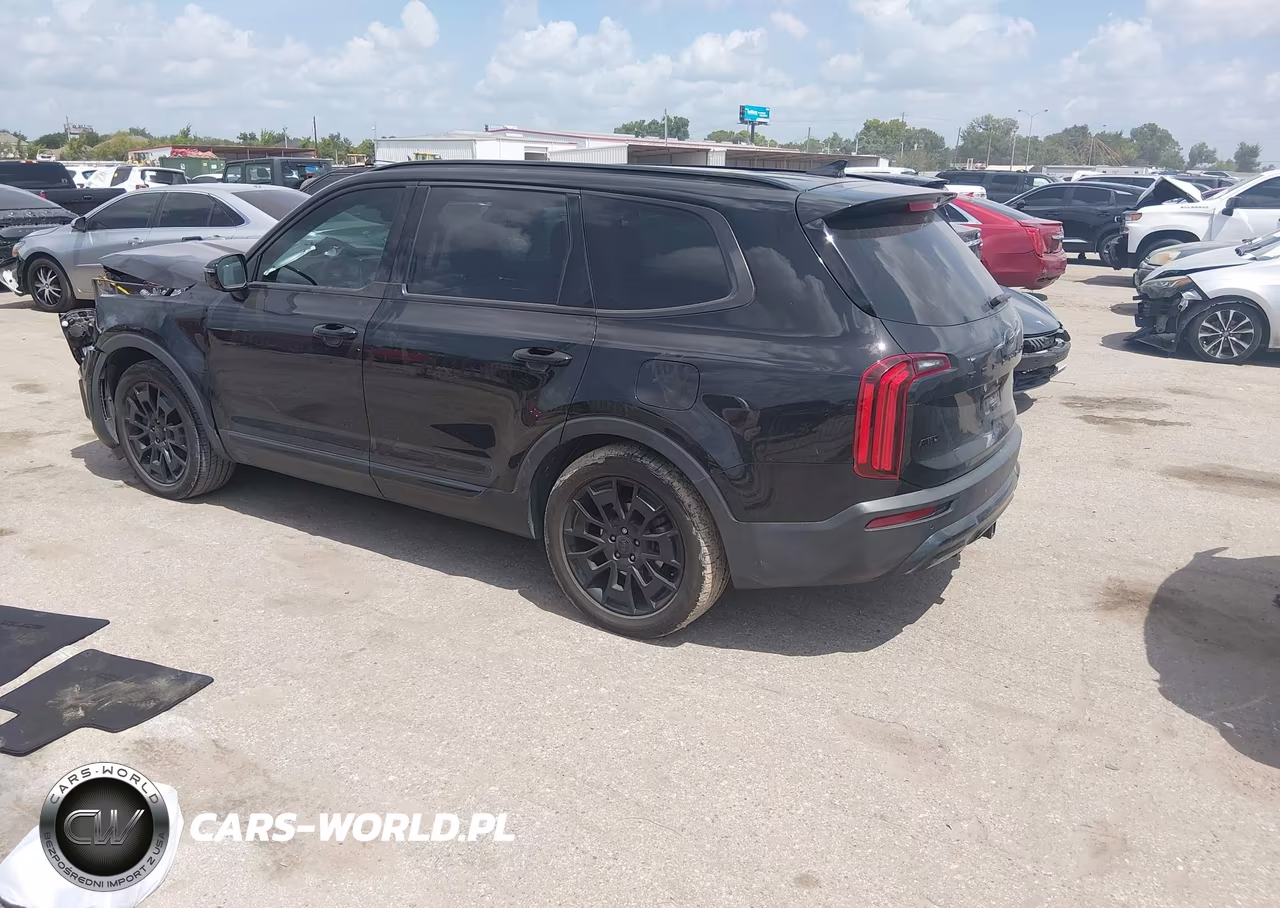 2021 Kia Telluride Sx VIN:5XYP5DHC1MG193636 - 3