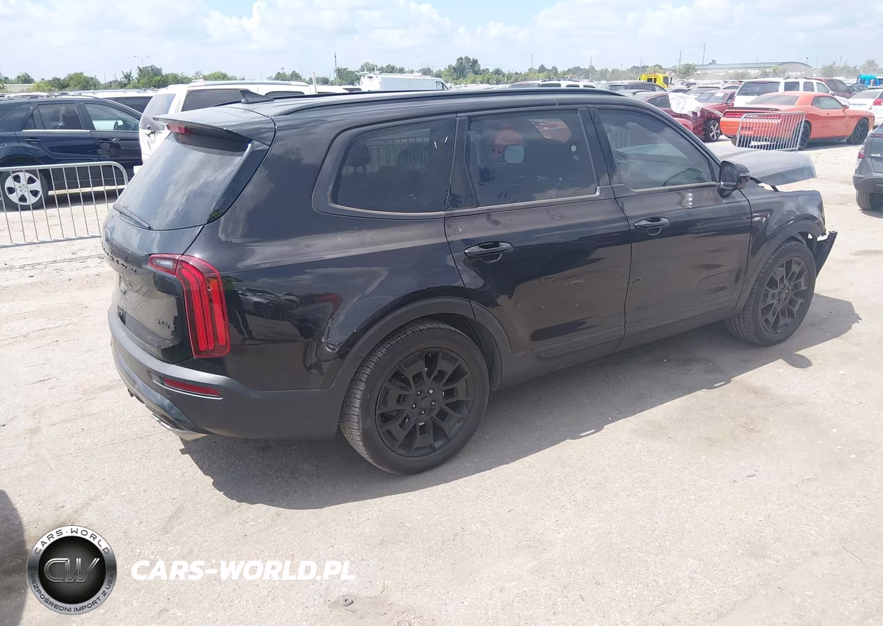 2021 Kia Telluride Sx VIN:5XYP5DHC1MG193636 - 4