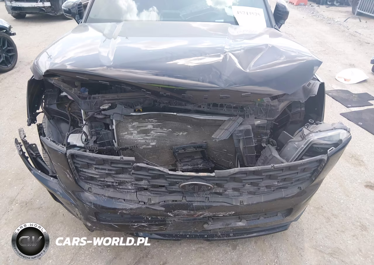 2021 Kia Telluride Sx VIN:5XYP5DHC1MG193636 - 6