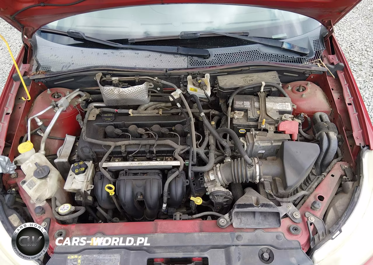 2009 Ford Focus Ses VIN:1FAHP36N49W179940 - 10