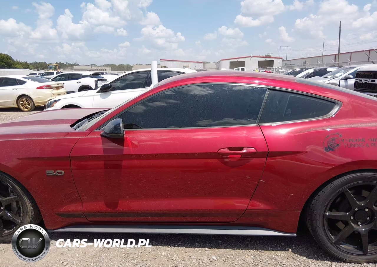 2017 Ford Mustang Gt Premium VIN:1FA6P8CF4H5275931 - 15