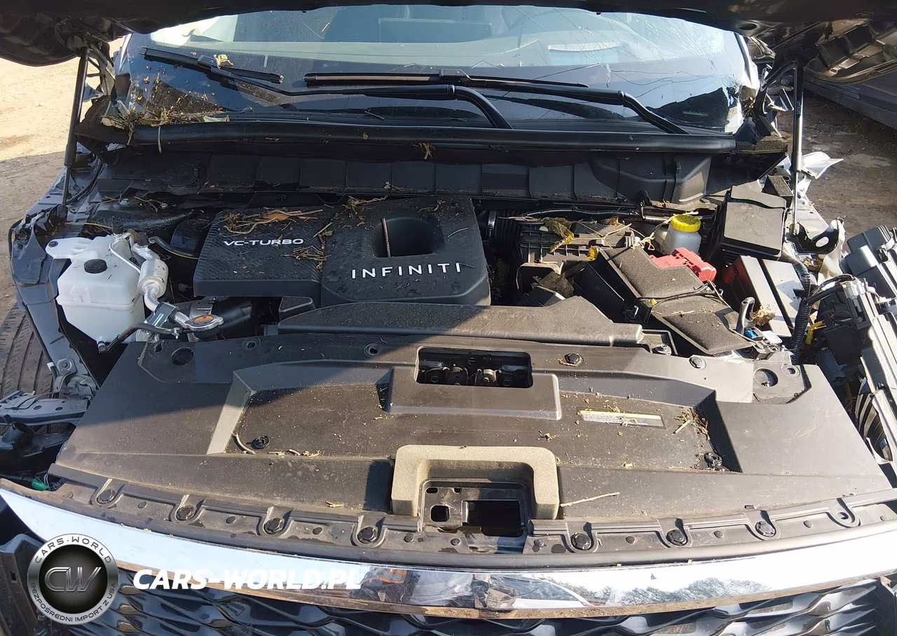 2025 Infiniti Qx60 Luxe VIN:5N1AL1FR2SC356583 - 10