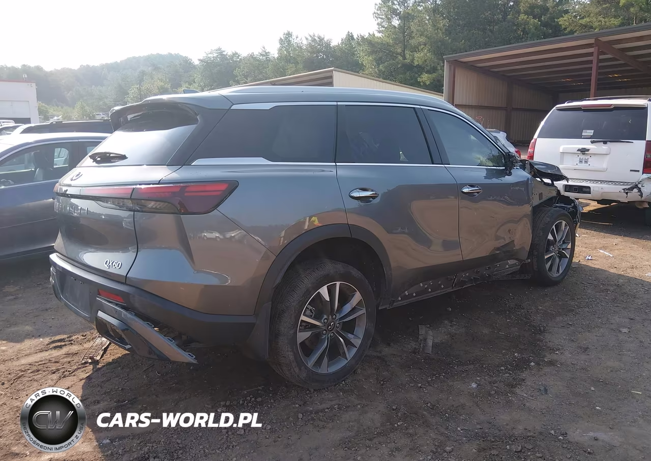 2025 Infiniti Qx60 Luxe VIN:5N1AL1FR2SC356583 - 4