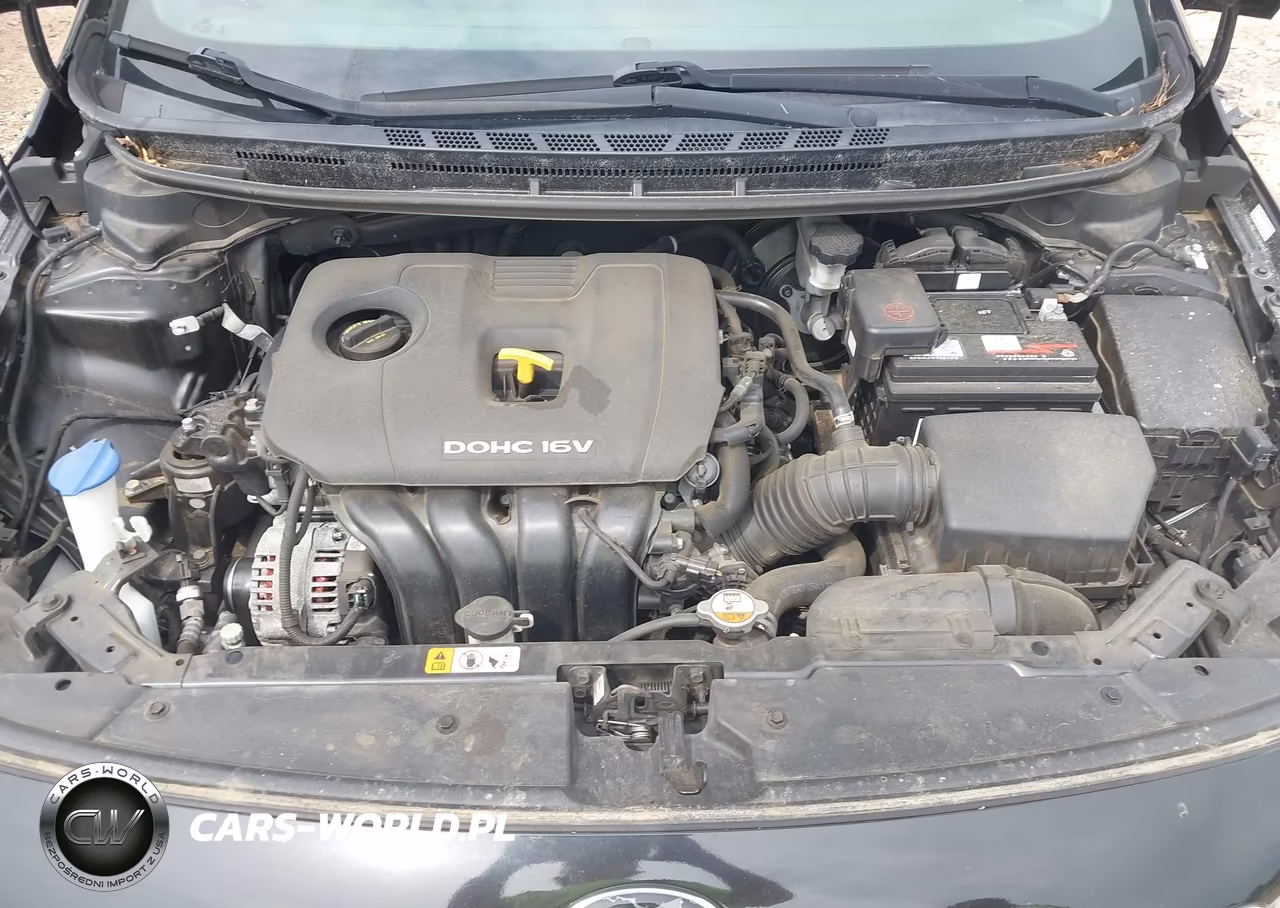 2017 Kia Forte Lx VIN:3KPFK4A75HE052458 - 10