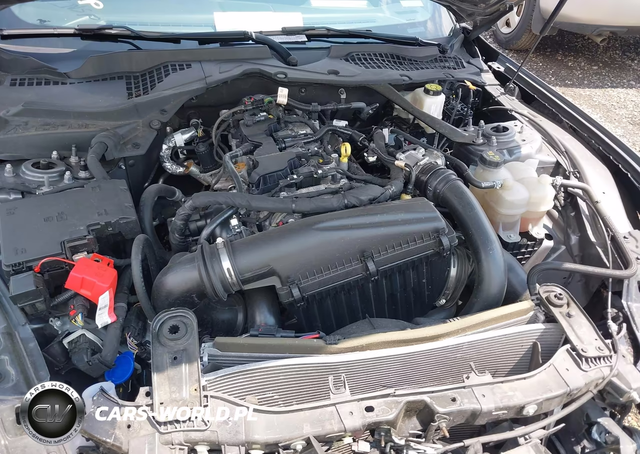 2024 Ford Mustang Ecoboost Premium VIN:1FAGP8UH3R5112905 - 10