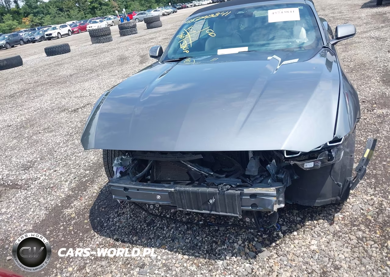 2024 Ford Mustang Ecoboost Premium VIN:1FAGP8UH3R5112905 - 11