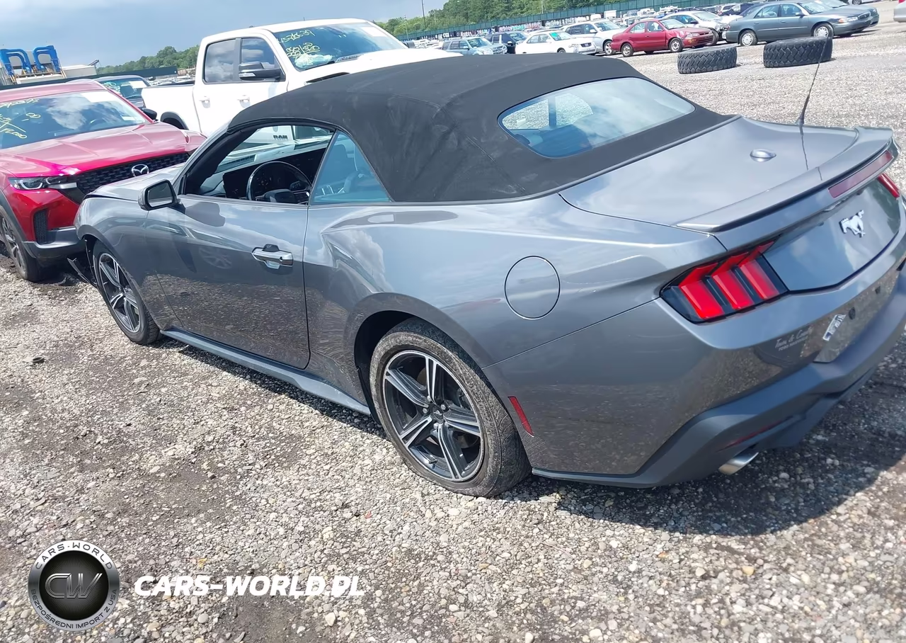 2024 Ford Mustang Ecoboost Premium VIN:1FAGP8UH3R5112905 - 3