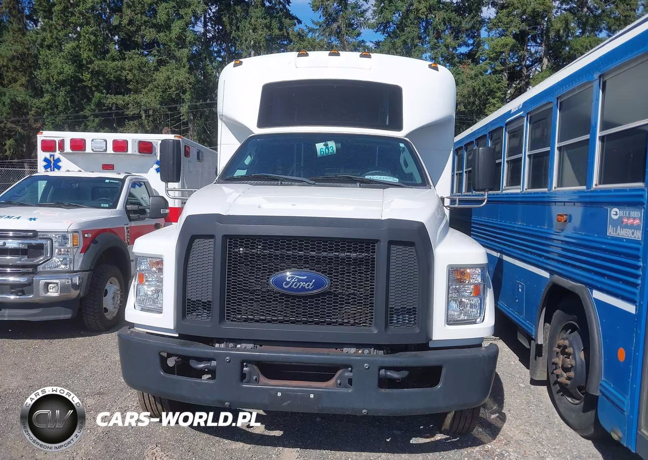 2017 Ford F-650 Diesel VIN:1FDXF6DC3HDB12196 - 12