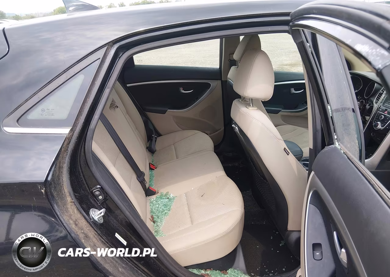 2013 Hyundai Elantra Gt VIN:KMHD35LE0DU109002 - 8