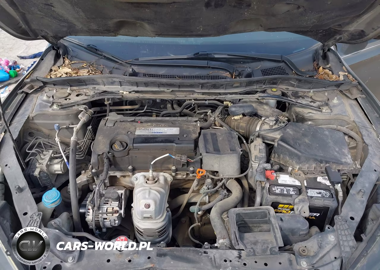 2015 Honda Accord Ex-L VIN:1HGCR2F84FA128449 - 10