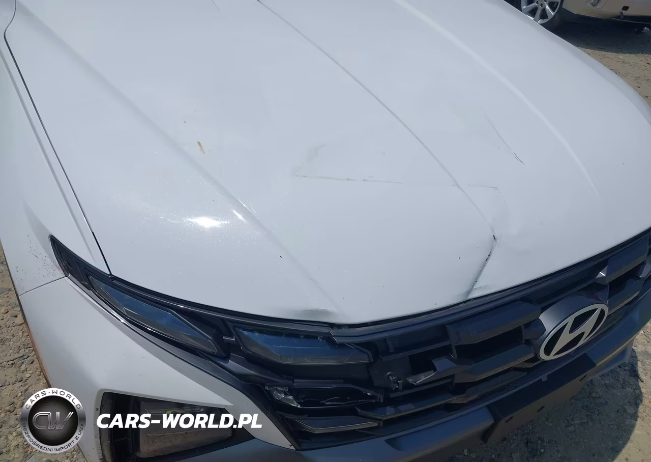 2025 Hyundai Tucson Sel VIN:5NMJB3DE9SH506533 - 20