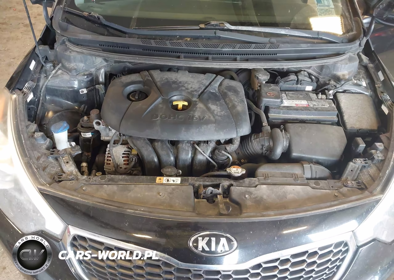2015 Kia Forte Lx VIN:KNAFK4A60F5436855 - 10