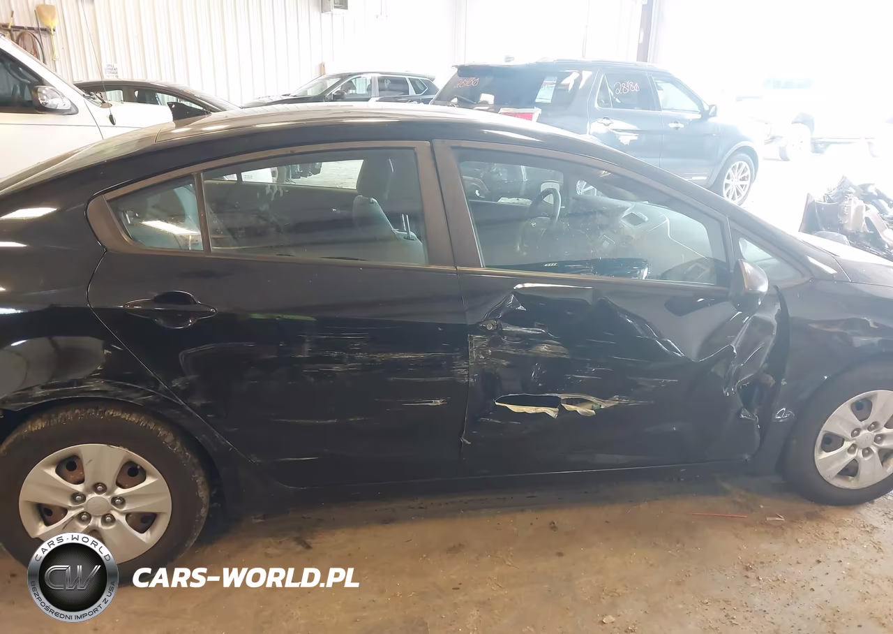 2015 Kia Forte Lx VIN:KNAFK4A60F5436855 - 13