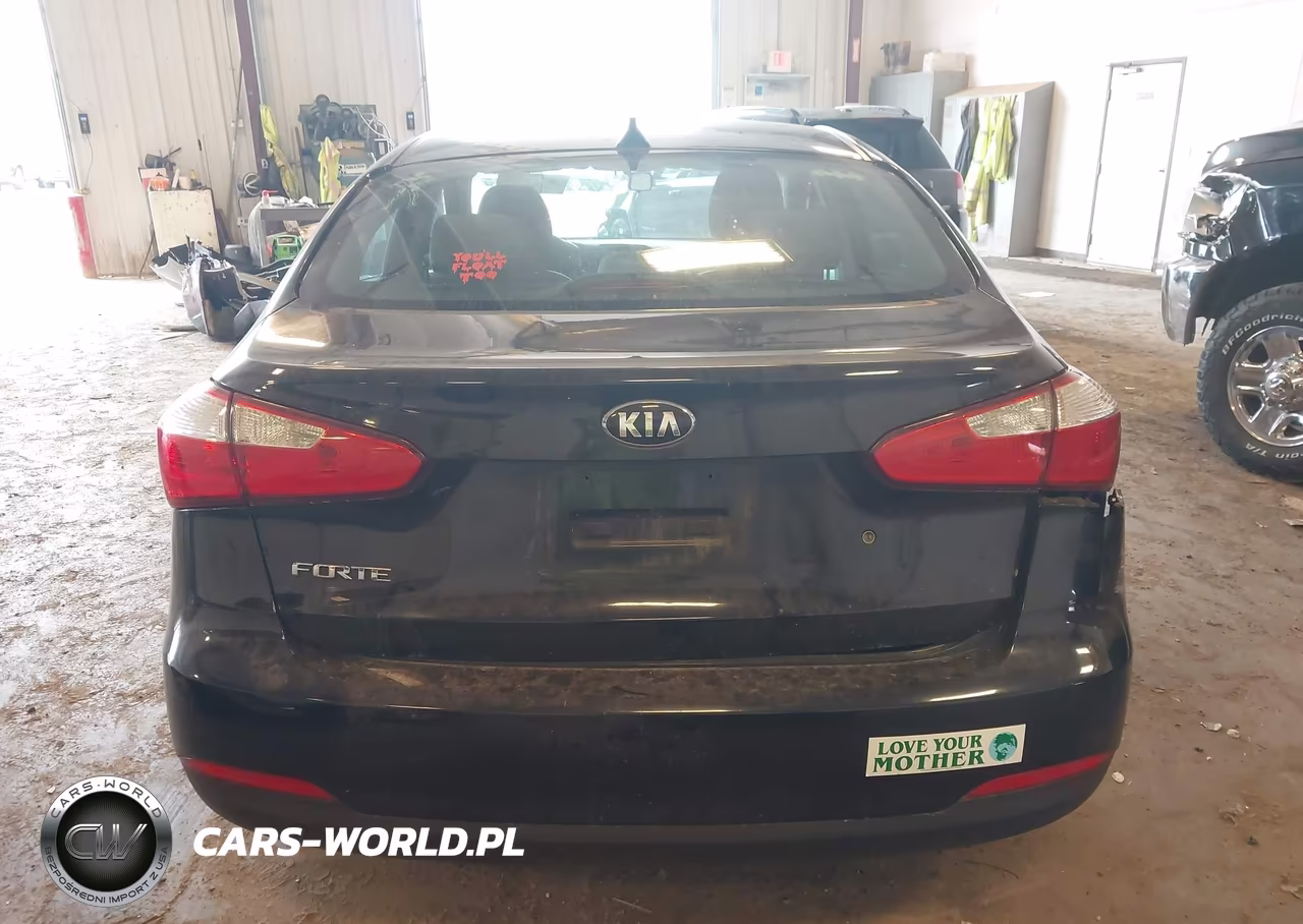 2015 Kia Forte Lx VIN:KNAFK4A60F5436855 - 16