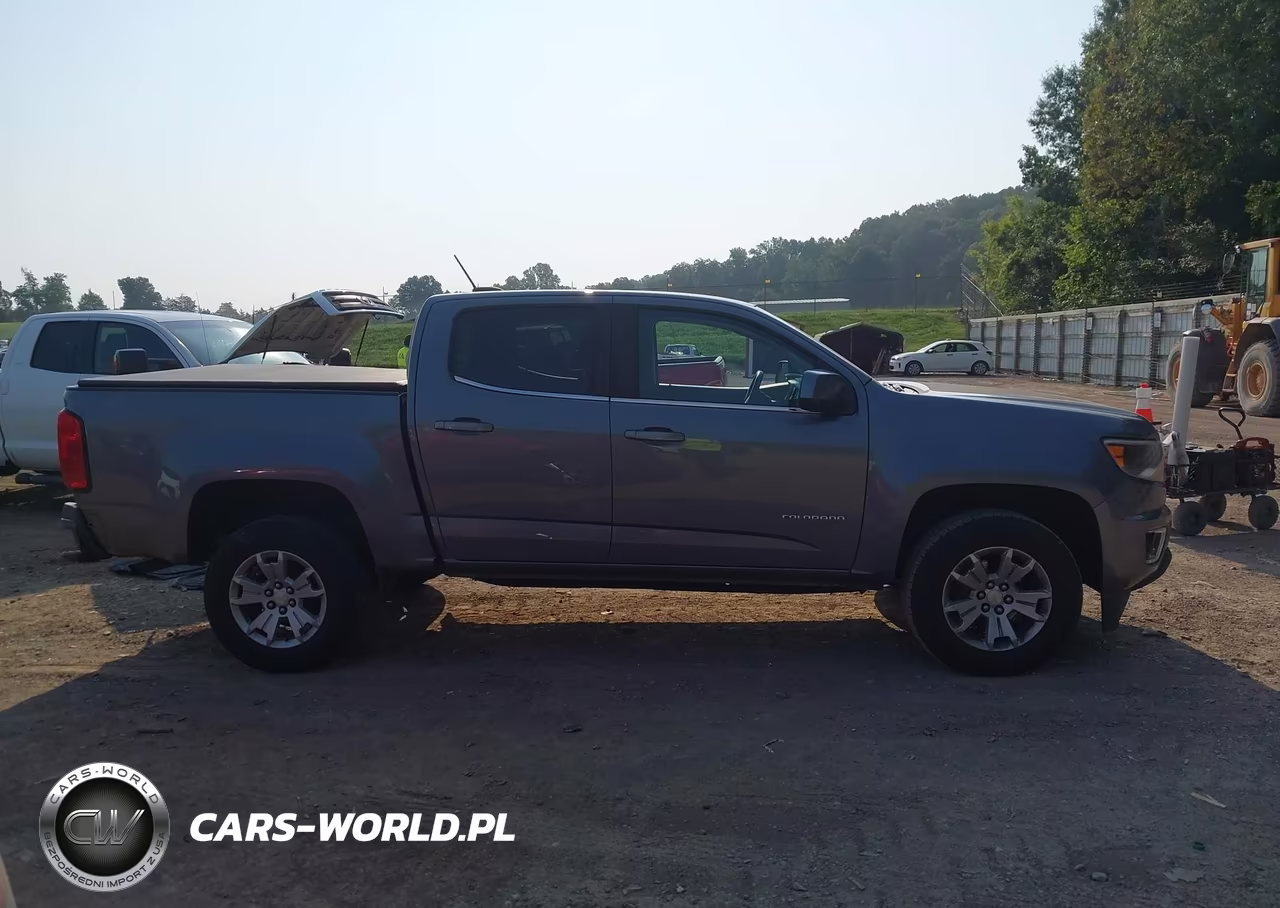 2018 Chevrolet Colorado Lt VIN:1GCGSCEA4J1317321 - 13