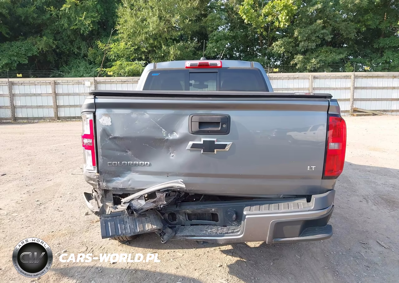 2018 Chevrolet Colorado Lt VIN:1GCGSCEA4J1317321 - 16