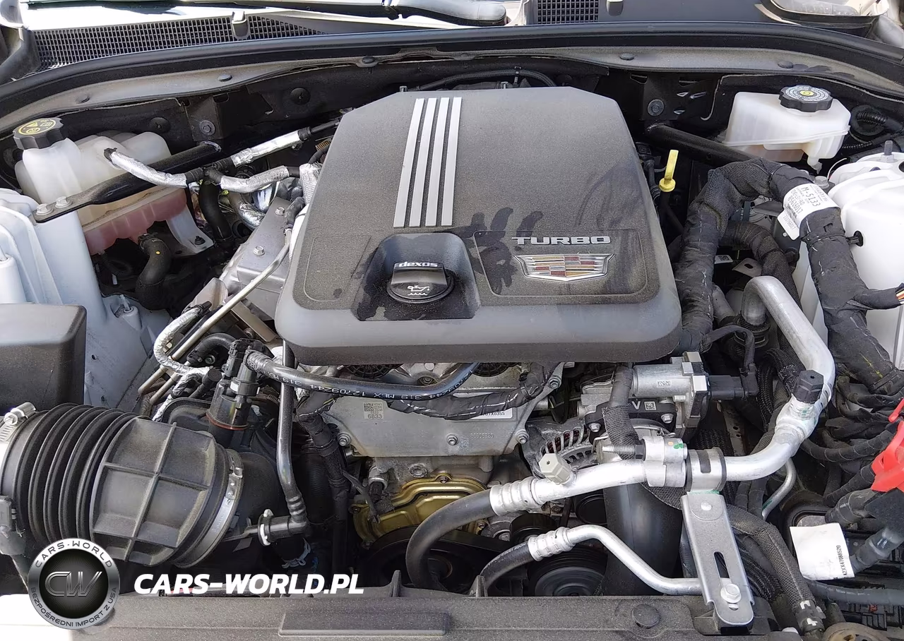2023 Cadillac Ct5 Luxury VIN:1G6DX5RK2P0157492 - 10