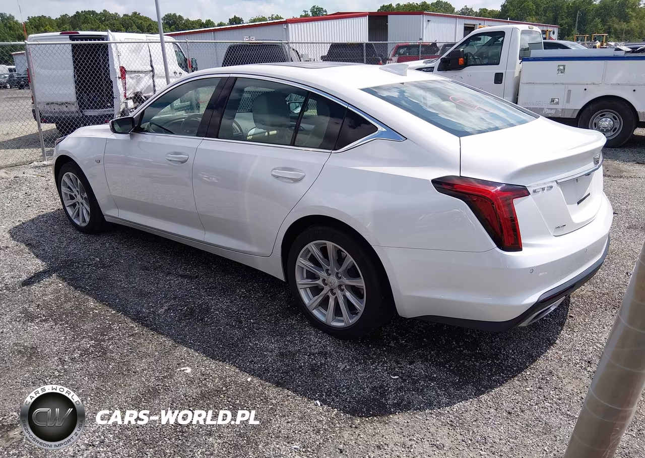 2023 Cadillac Ct5 Luxury VIN:1G6DX5RK2P0157492 - 3