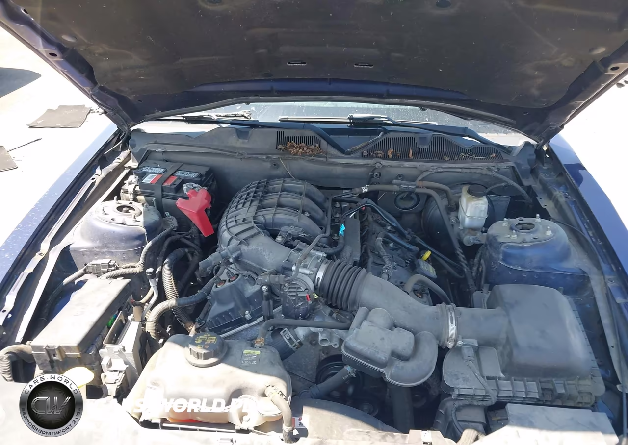 2011 Ford Mustang V6 Premium VIN:1ZVBP8AM1B5155874 - 10