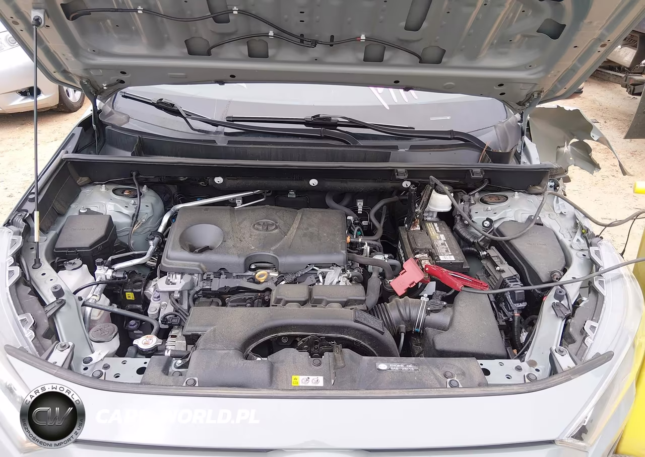 2019 Toyota Rav4 Xle VIN:2T3W1RFV9KW055978 - 10