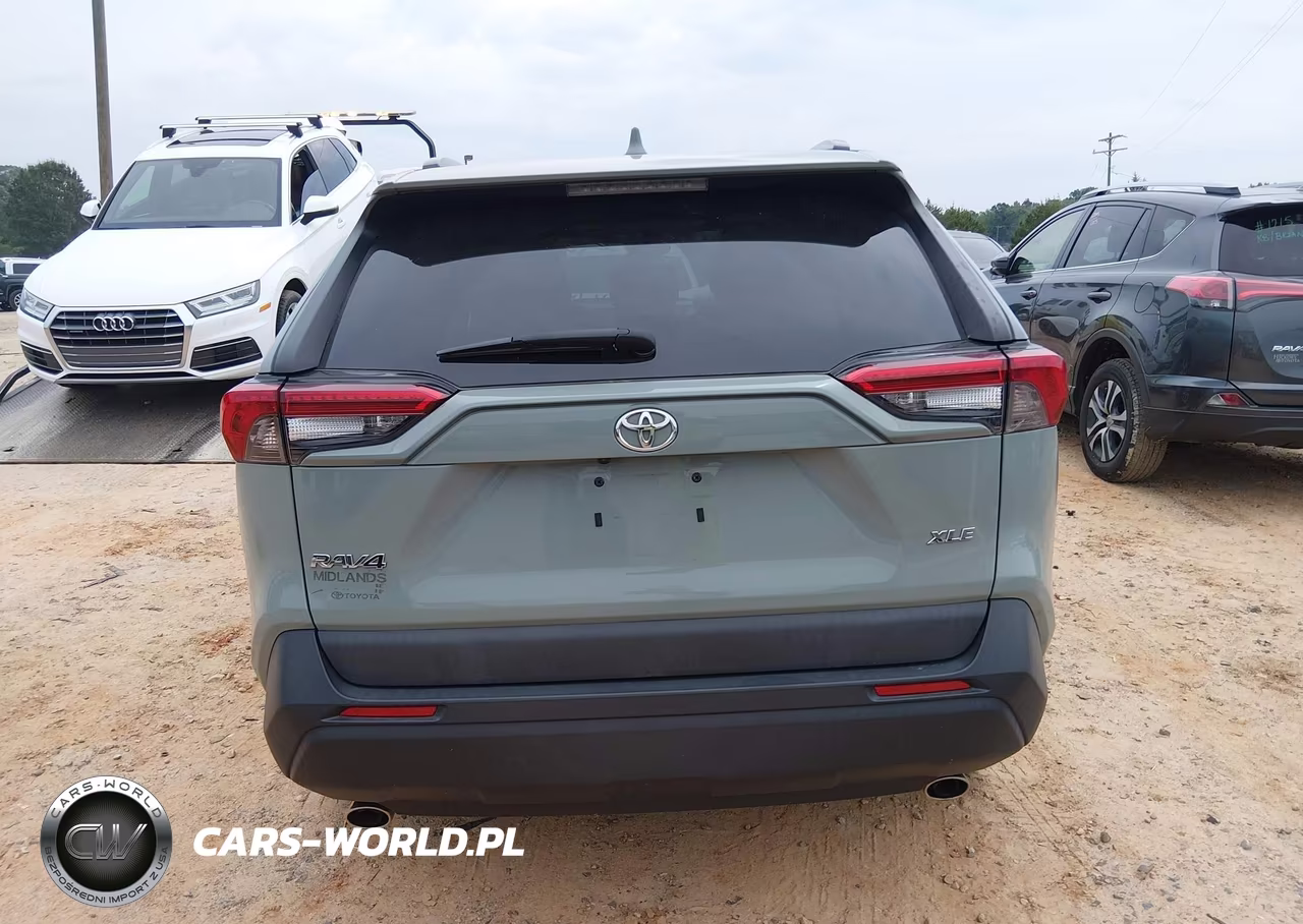 2019 Toyota Rav4 Xle VIN:2T3W1RFV9KW055978 - 16