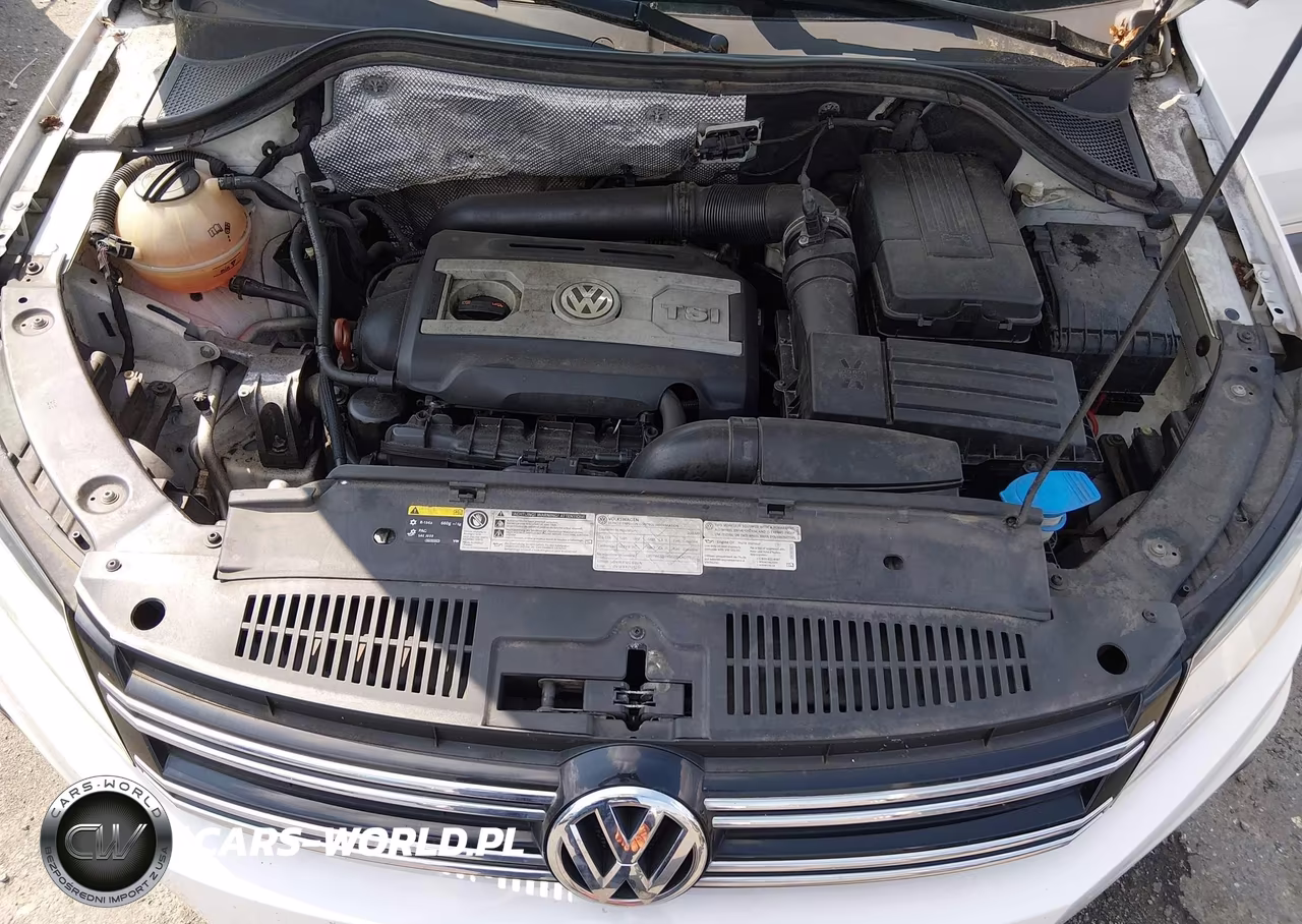 2013 Volkswagen Tiguan Se VIN:WVGBV3AXXDW610106 - 10