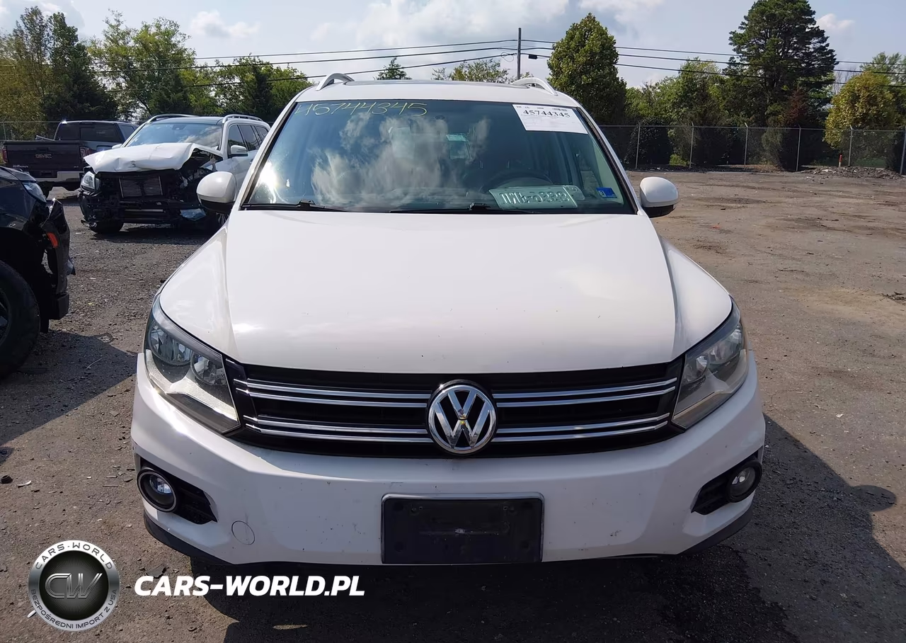 2013 Volkswagen Tiguan Se VIN:WVGBV3AXXDW610106 - 12