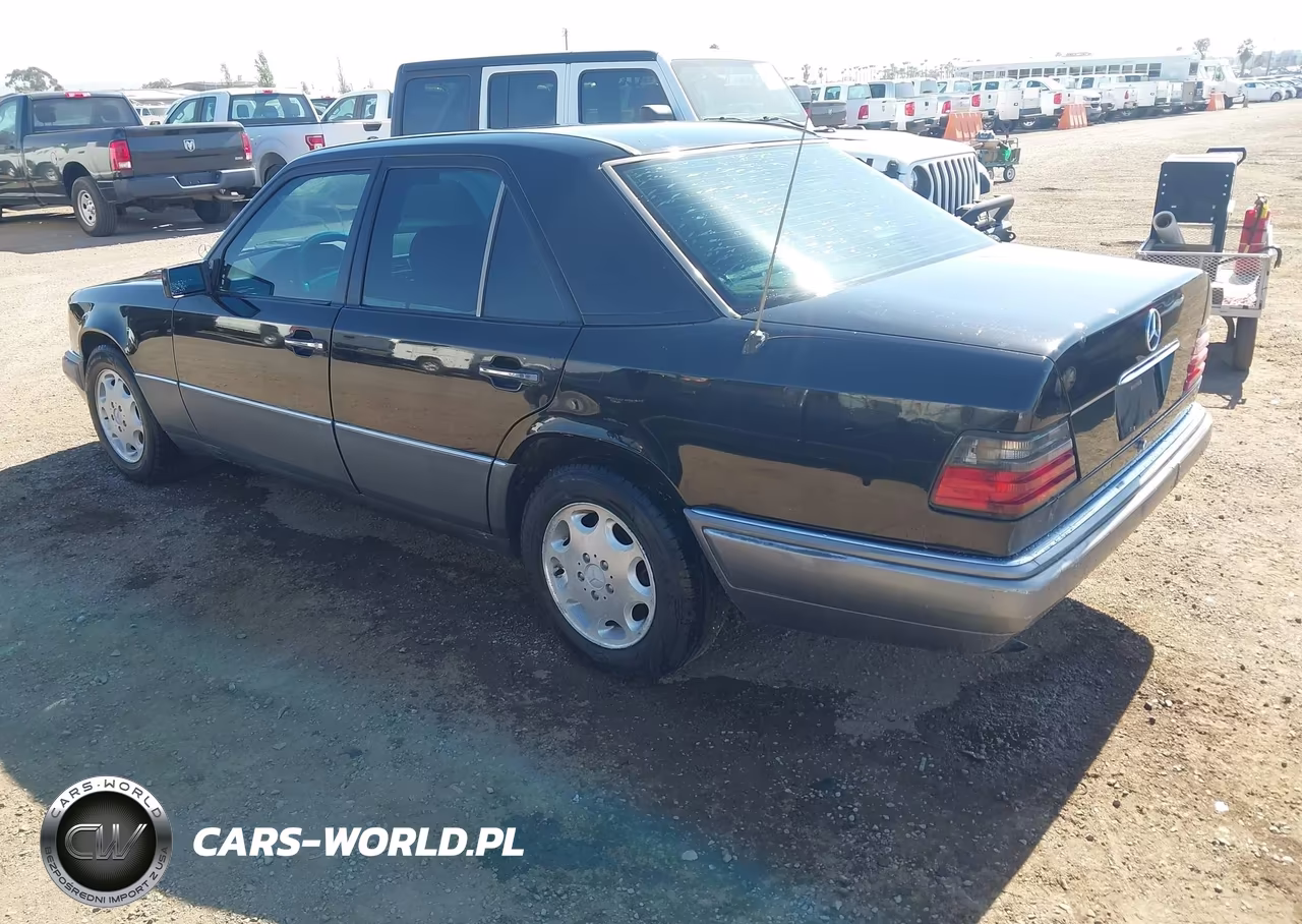 1995 Mercedes-Benz E 300D-300D Special VIN:WDBEB31E6SC221730 - 3