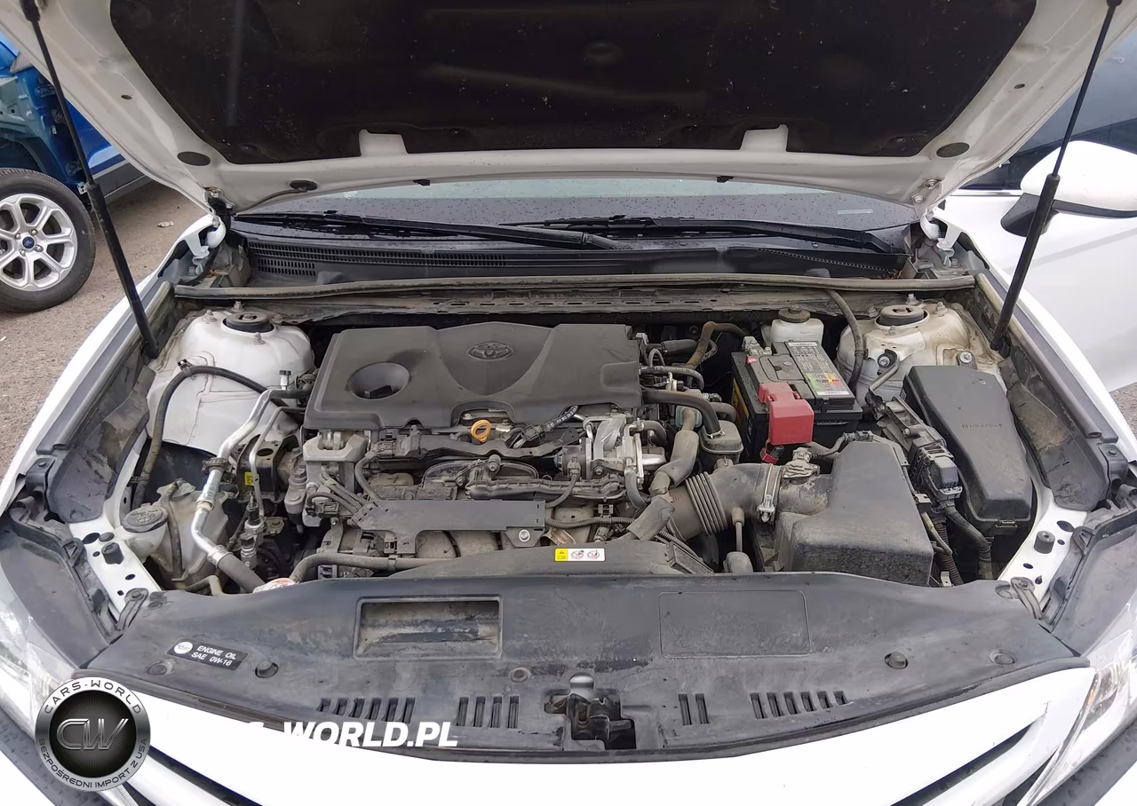 2019 Toyota Camry Se VIN:4T1B11HK5KU689431 - 10
