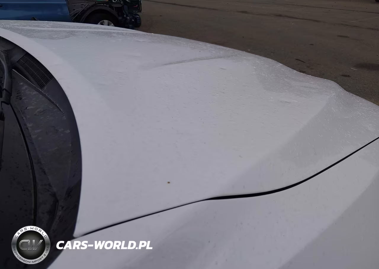 2019 Toyota Camry Se VIN:4T1B11HK5KU689431 - 19