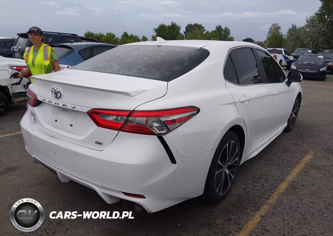 2019 Toyota Camry Se VIN:4T1B11HK5KU689431 - 4