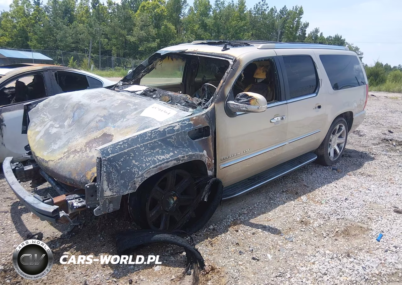 2009 Cadillac Escalade Esv Standard VIN:1GYFK26259R155624 - 2