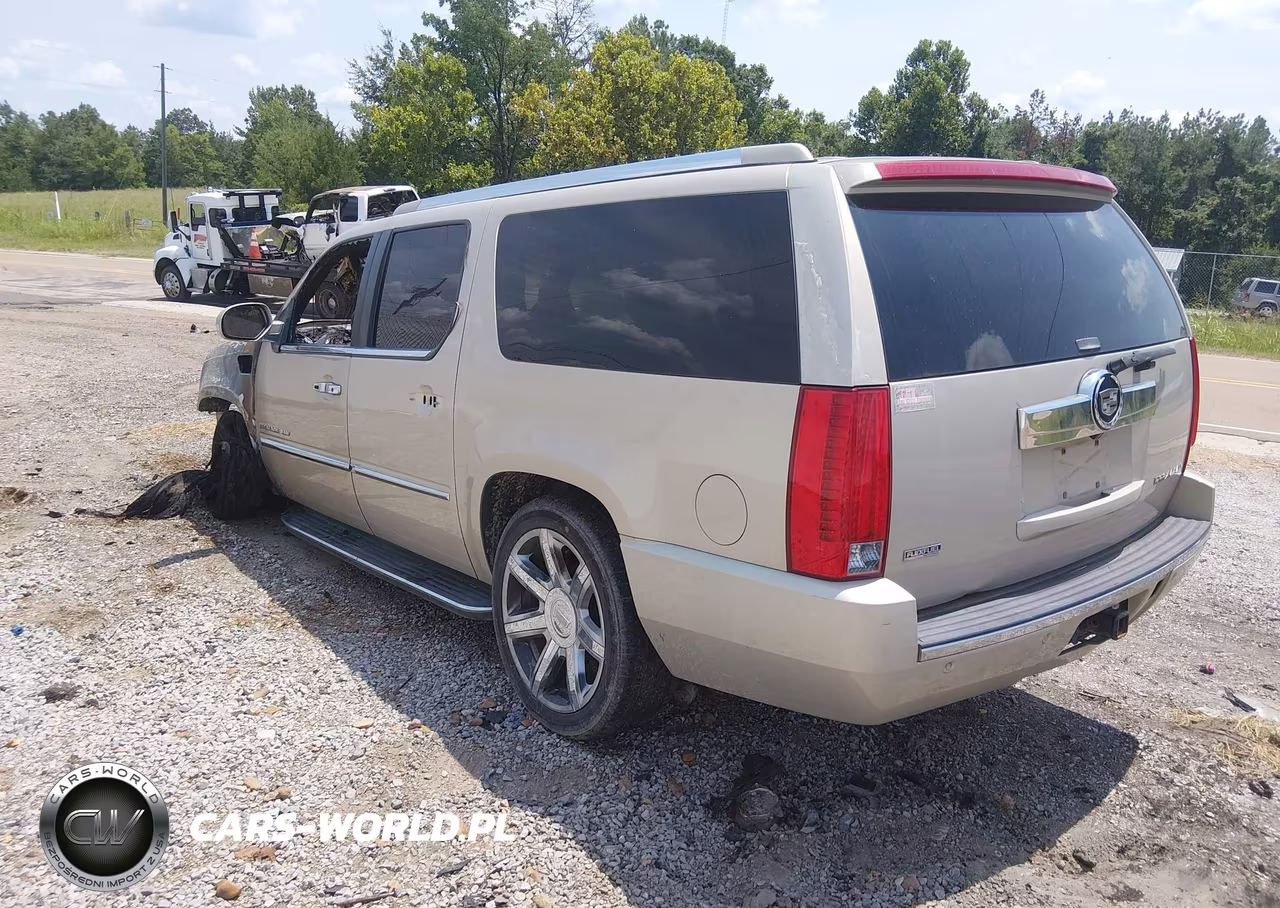 2009 Cadillac Escalade Esv Standard VIN:1GYFK26259R155624 - 3