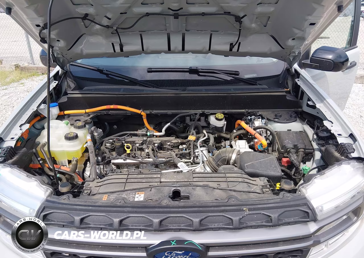 2024 Ford Maverick Xlt VIN:3FTTW8H34RRB20051 - 10