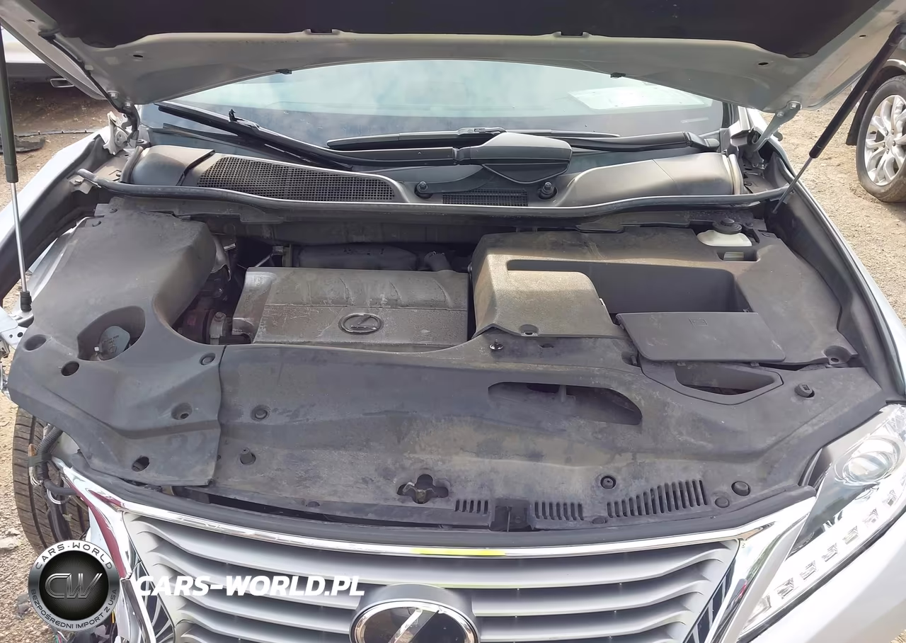 2015 Lexus Rx 350 VIN:2T2BK1BA2FC282957 - 10