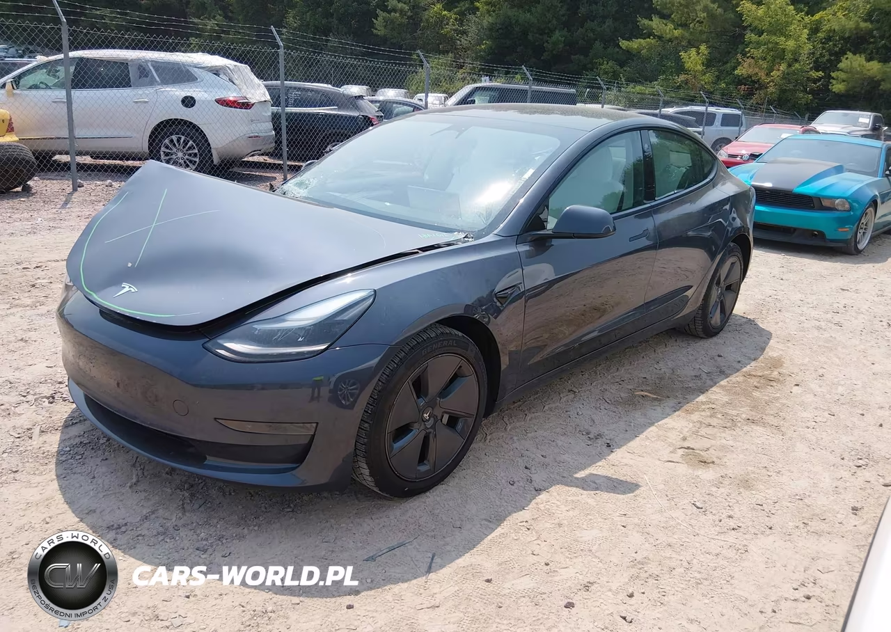 2023 Tesla Model 3 Rear-Wheel Drive VIN:5YJ3E1EA7PF479826 - 2
