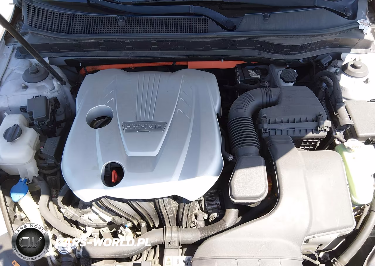 2015 Kia Optima Hybrid VIN:KNAGM4AD5F5083140 - 10