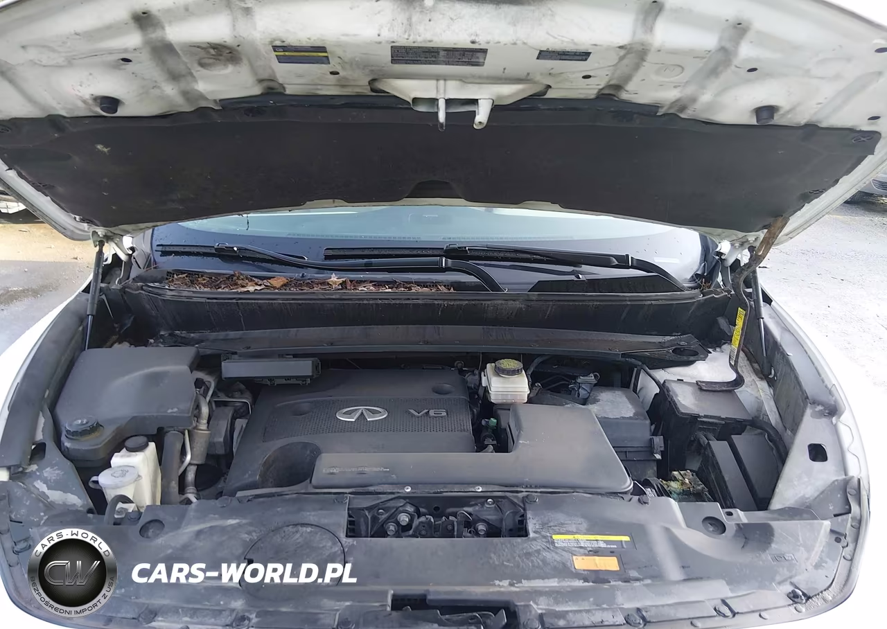 2015 Infiniti Qx60 VIN:5N1AL0MM5FC528998 - 10