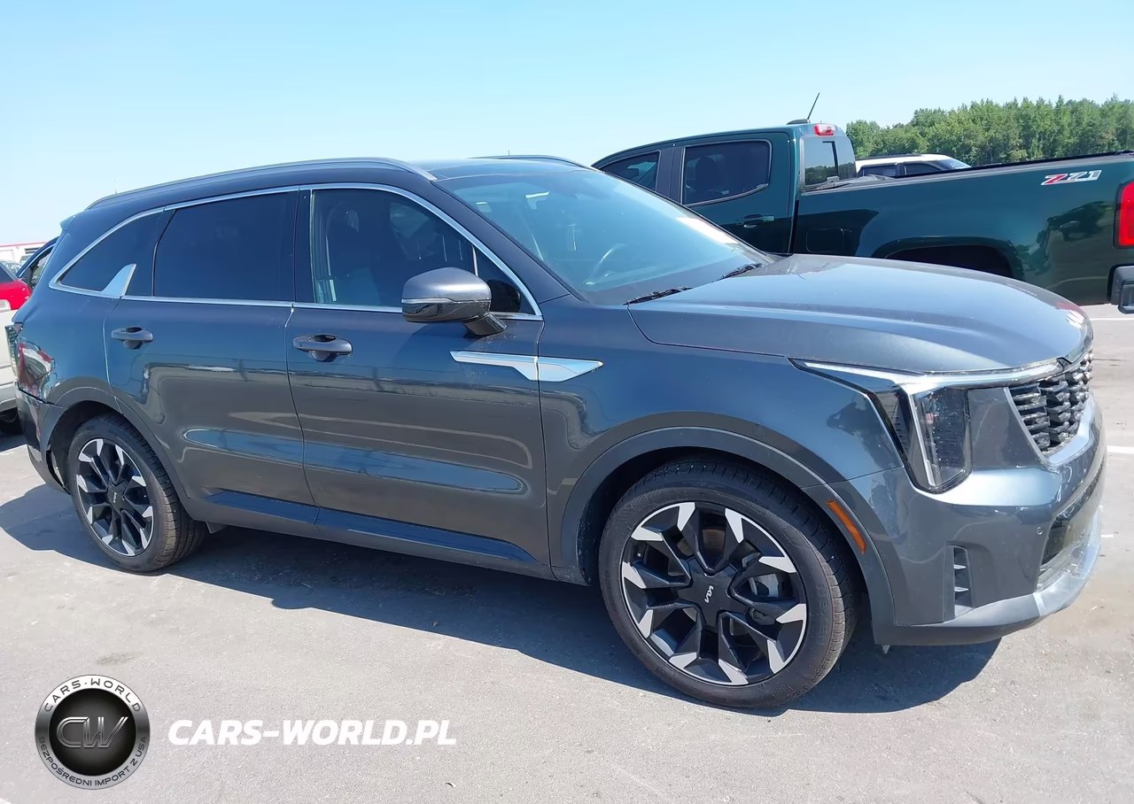 2025 Kia Sorento Ex VIN:5XYRH4JFXSG319302 - 12