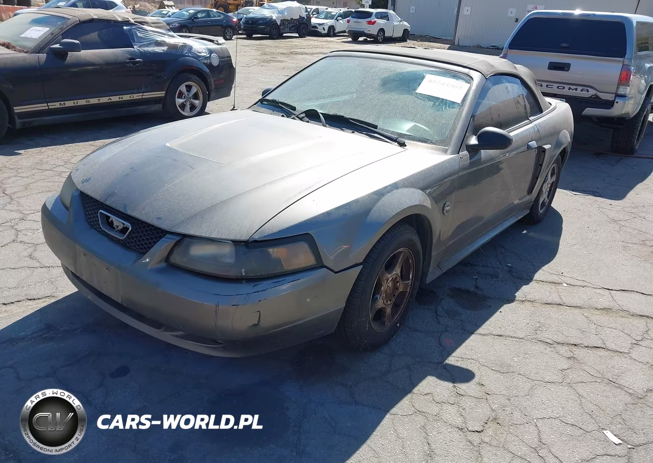 2004 Ford Mustang VIN:1FAFP44654F225499 - 2