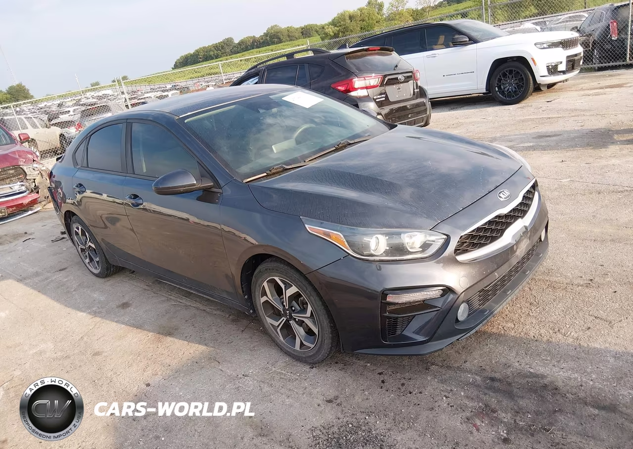 2019 Kia Forte Lxs