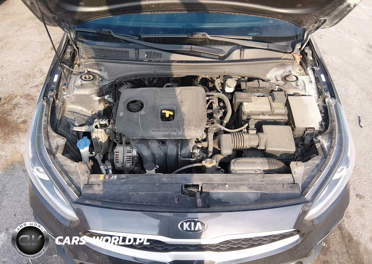 2019 Kia Forte Lxs VIN:3KPF24ADXKE031831 - 10
