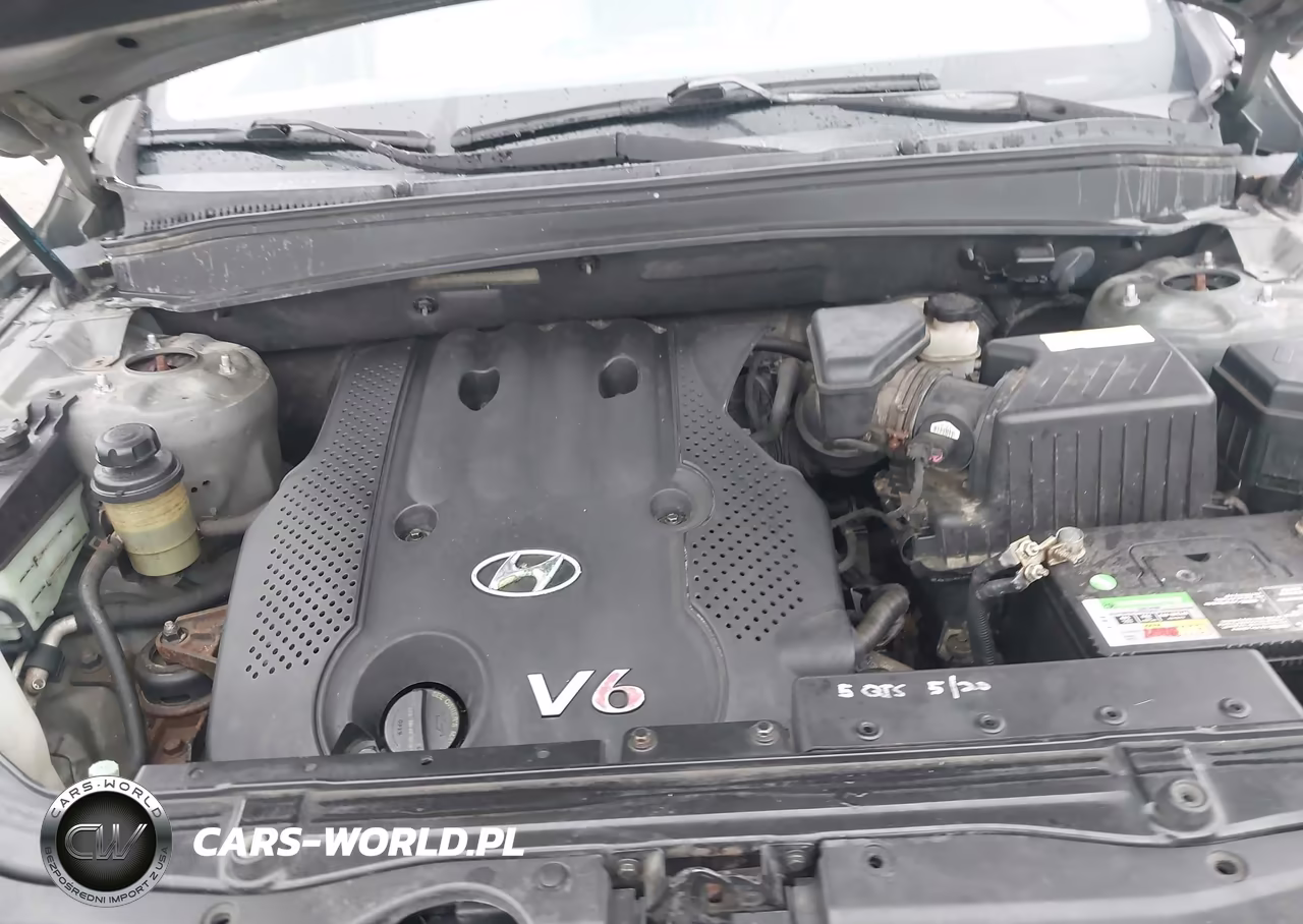 2008 Hyundai Santa Fe Gls VIN:5NMSG13D28H165746 - 10