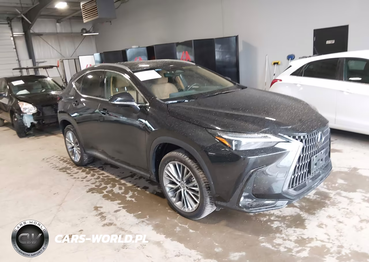 2022 Lexus Nx 350H Luxury VIN:2T2HKCEZ6NC006531 - 1