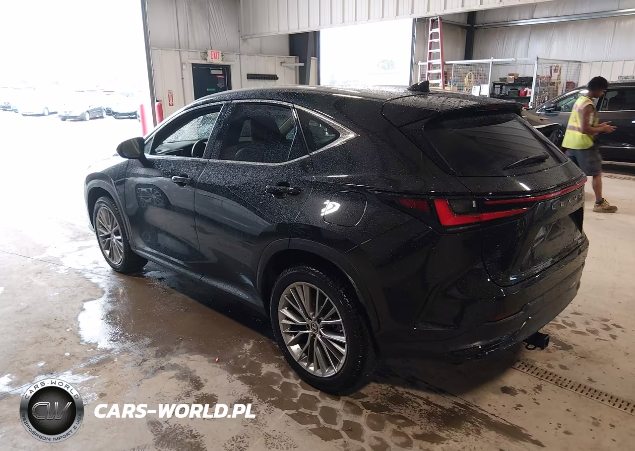2022 Lexus Nx 350H Luxury VIN:2T2HKCEZ6NC006531 - 3