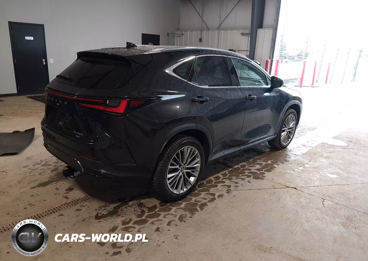 2022 Lexus Nx 350H Luxury VIN:2T2HKCEZ6NC006531 - 4
