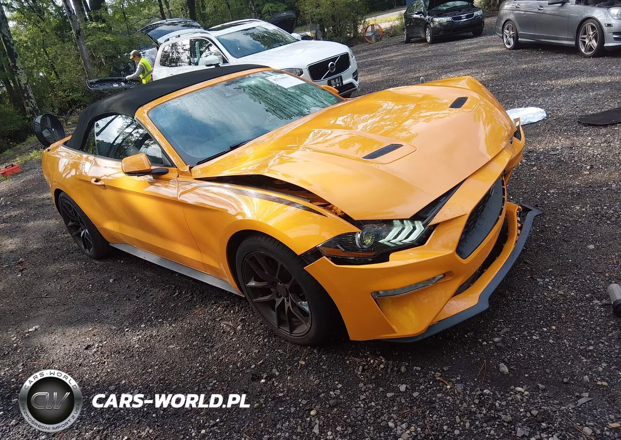 2019 Ford Mustang Ecoboost Premium – zdjęcie 1 z 16
